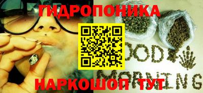 прущая мука Гатчина