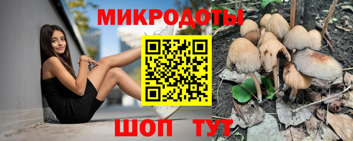 Галлюциногенные грибы GOLDEN TEACHER Малоярославец